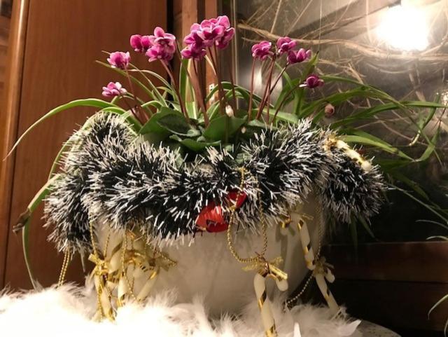Yamagata Zao Pension Aplon Stage Kaminoyama Bagian luar foto